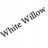 WhiteWillow